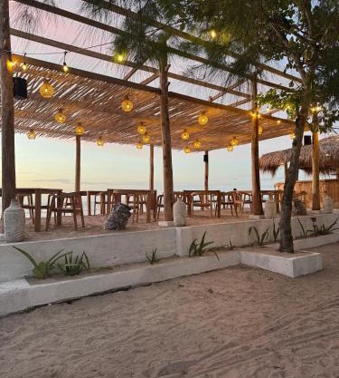 Jungle Gili Air