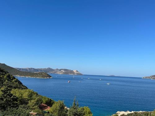 Kaktus Suites