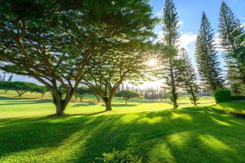 KBM Resorts - 2 FREE CARS - Kapalua Golf Villa - Golf Course view - 2 2-Bedroom Condos KGV-14P6V3