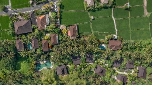 Korurua Dijiwa Ubud