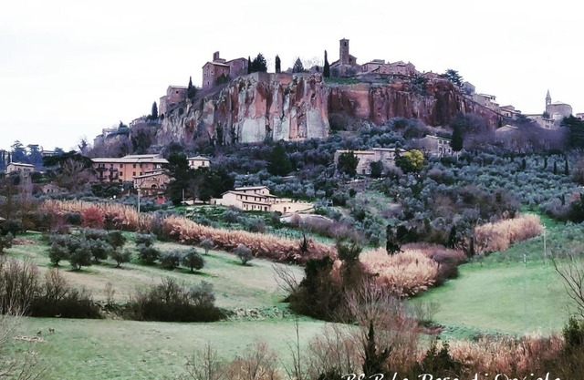 La Rosa di Orvieto