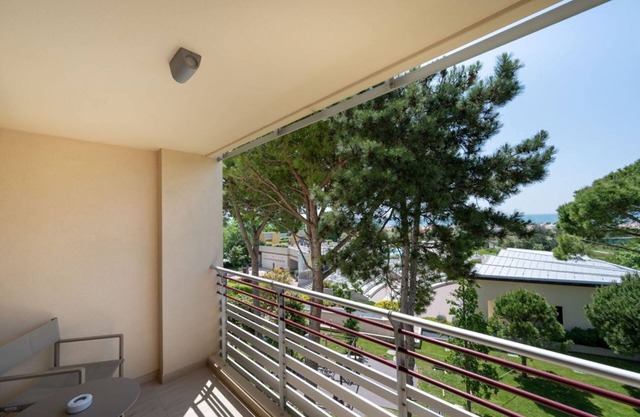 Laguna Park Hotel - Panorama Room