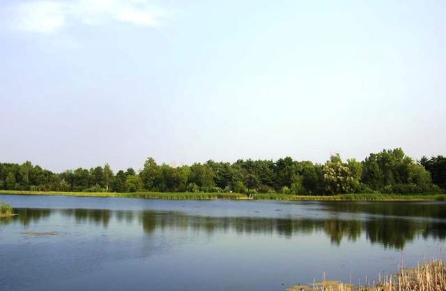 Lake House Retreat-fish/boat/relax. DOGS welcome