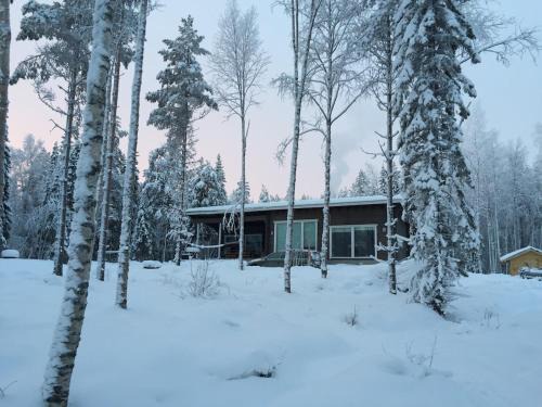 Lapland Lakefront Villa -Santa & Northern Lights