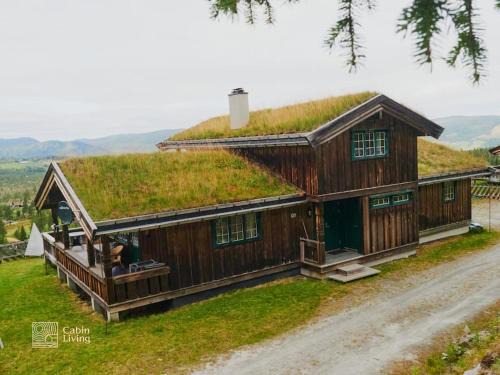 Large cabin at Nesfjellet with lovely view, inddor Jacuzzi & sauna