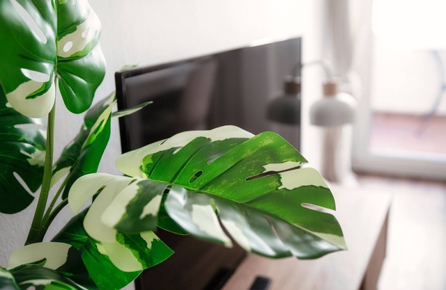 Locarno City Apartments