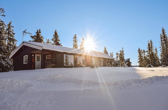 Lovely home in Sjusjøen with kitchen