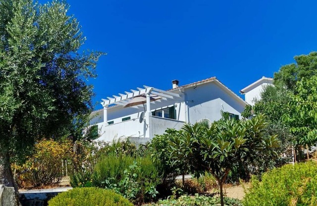 Main House Abrunheiro Grande