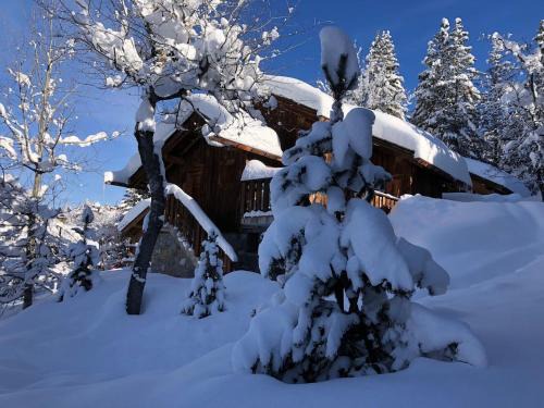 Meribel Altitude1600 chalet 6 personnes en pleine nature au milieu des pistes