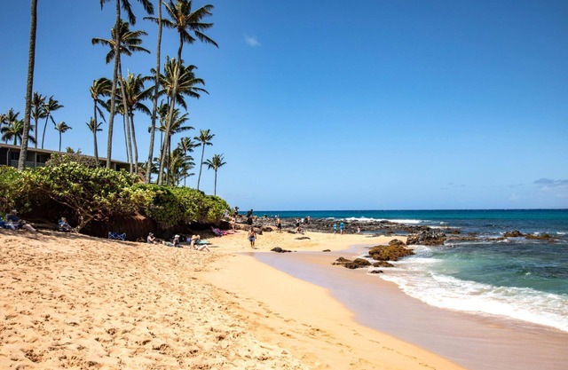 Napili Bay NAB-107 by KBM