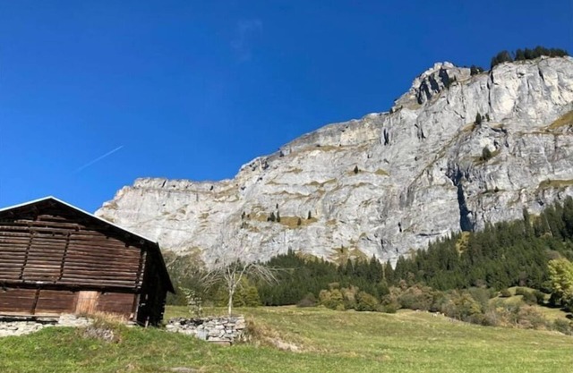 Newly refurbished flat in the heart of Flims