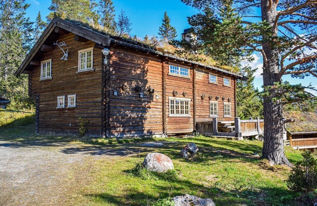 Nice home in Rauland with sauna