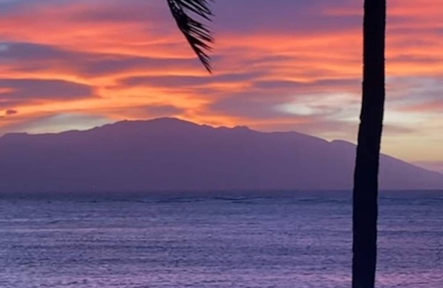 Oceanfront Top Floor Molokai Condo! Lush East End Location!