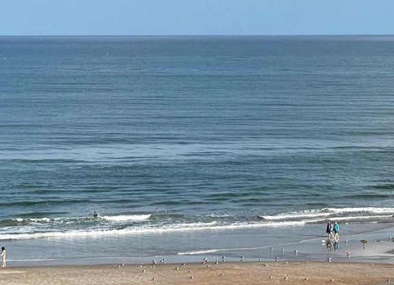 Oceanside Escape