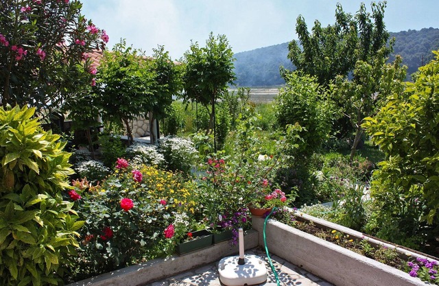 One bedroom apartment with terrace and sea view Kampor, Rab (A-4972-a)
