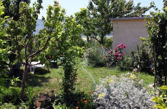 One bedroom apartment with terrace and sea view Kampor, Rab (A-4972-b)