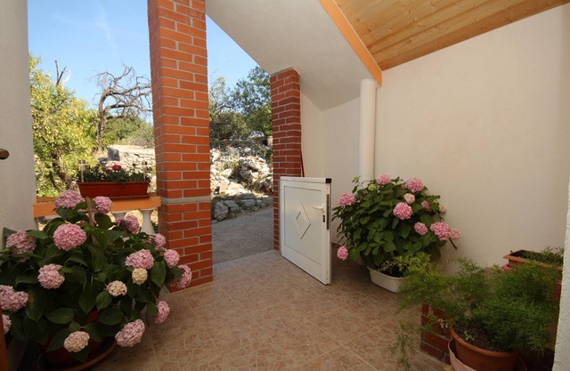 One bedroom apartment with terrace Sali, Dugi otok (A-8153-a)