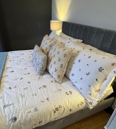 One bedroom basement flat