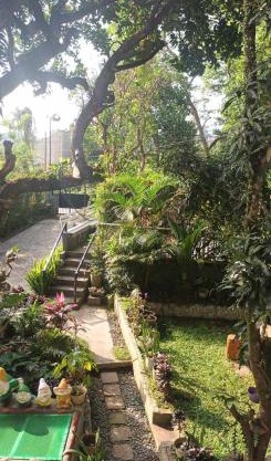 Orchid Bed and Breakfast