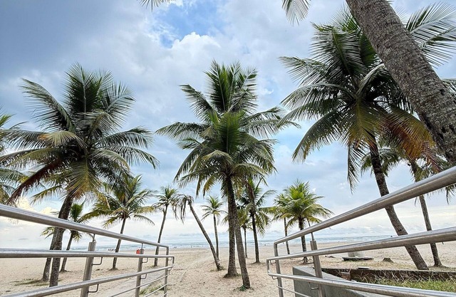 Pé Na Areia Praia da Ocean IV