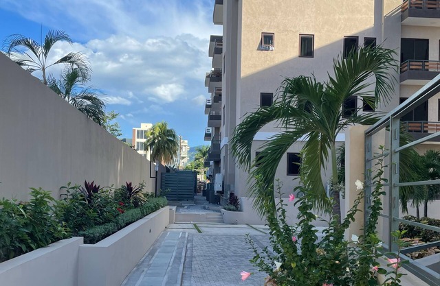 Paddington Terrace Oasis