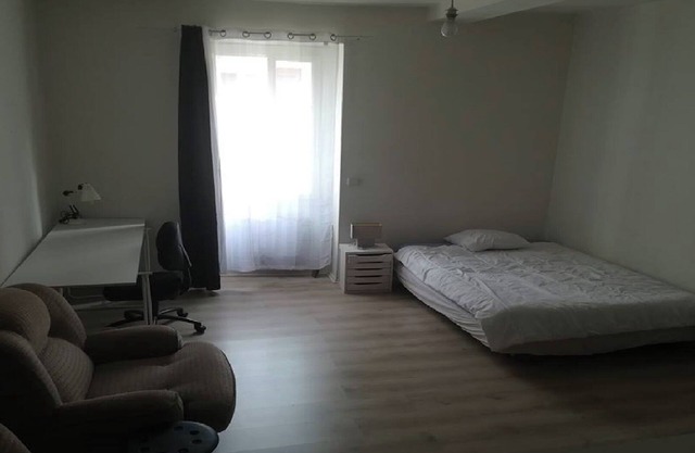 Peaceful 1-room apartment of 45 m² in Pau (All charges included)