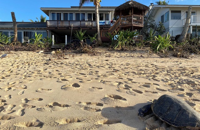 PERFECT LOCATION BEACH FRONTnINQUIRE special discounts reduced rates for october