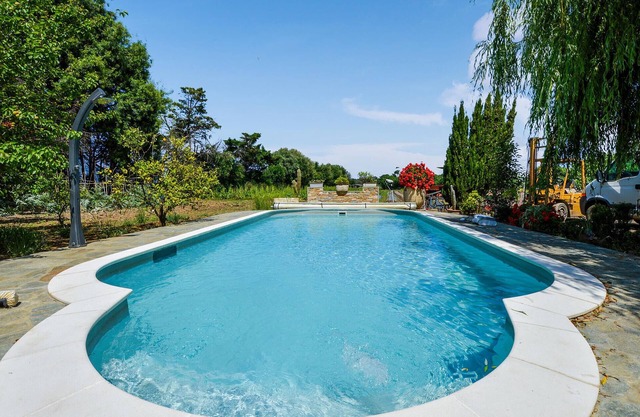 Pet friendly apartment in Furiani