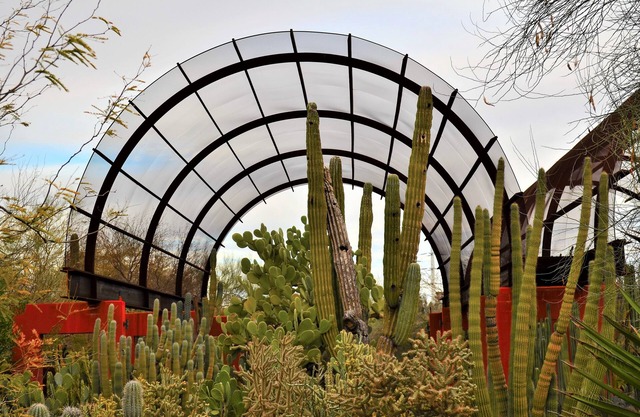 Pet-friendly Property Near OdySea Aquarium AZ! Outdoor Pool, Full Kitchen!