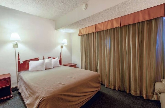 Pet-Friendly Space w/Hairdryer, Iron & Essentials For Stress-Free Travels