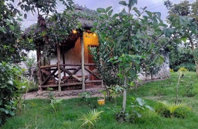 Podocarpus Cottages -02