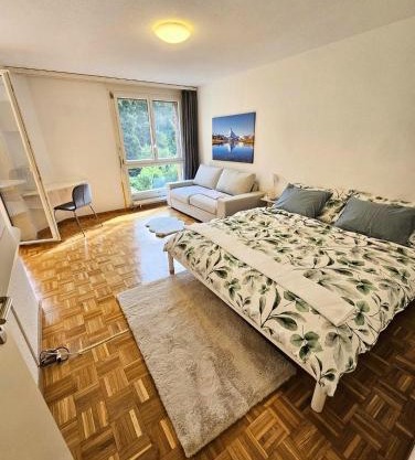 Premium Apartment mit Pilatus Sicht