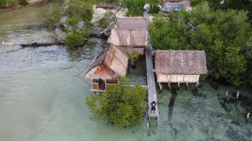 Raja Ampat Homestay