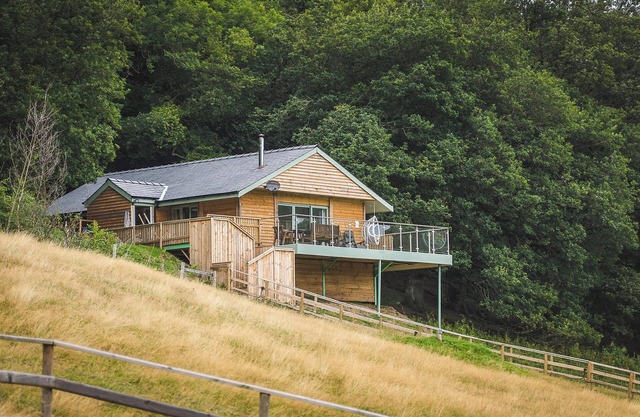 Red Kite Lodge - UK32610