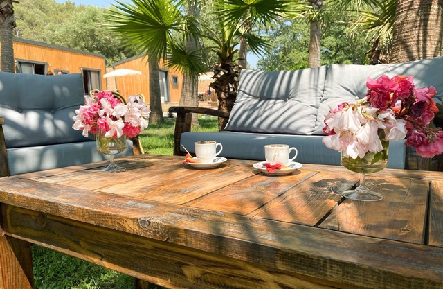 Riverside Gocek Apart Otel Tiny House