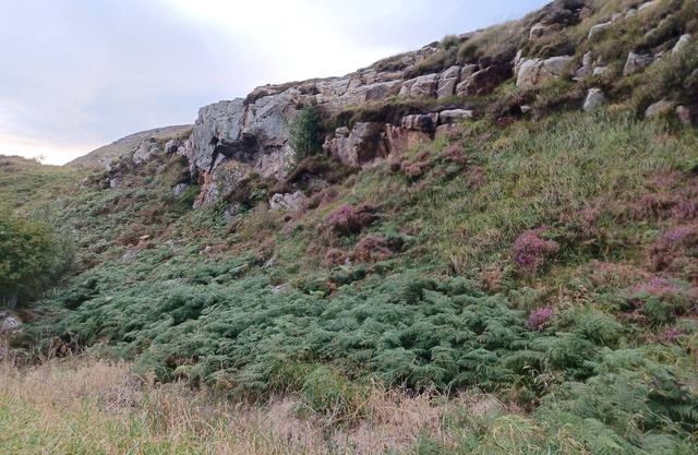 Rockgardencottage
