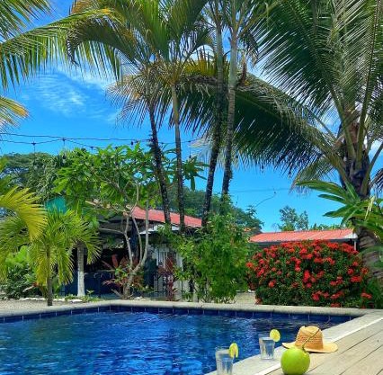 Rooms & Pool Macaws