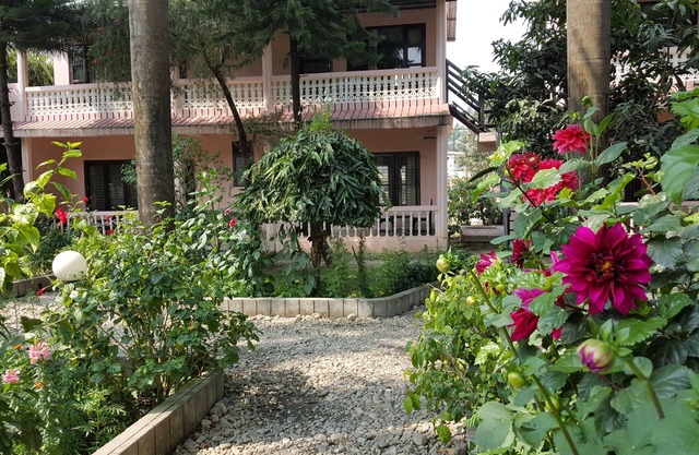 Sauraha Resort