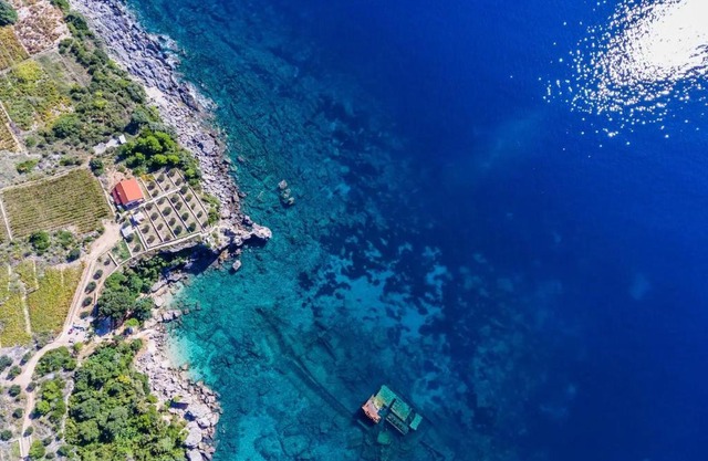 Seaside house for families with children Postup, Peljesac - 20849
