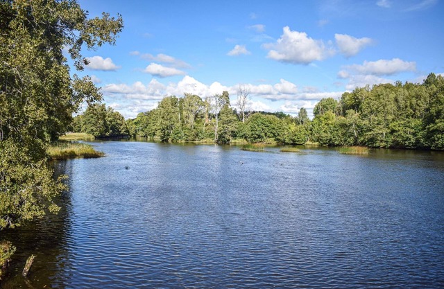 Spacious, family-friendly cottage in a beautiful natural location.