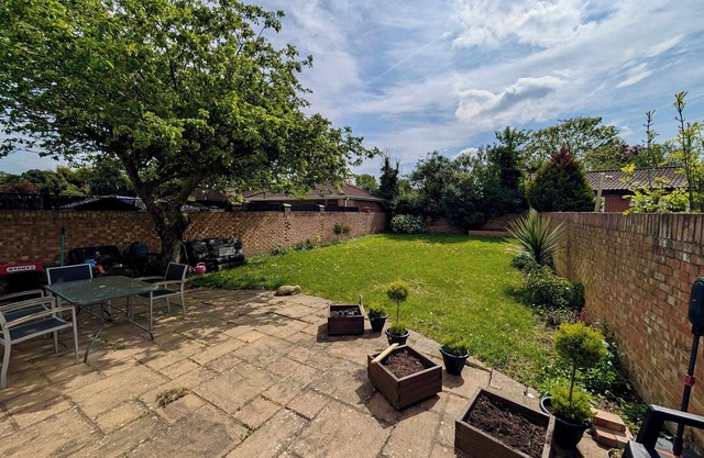 Spacious House With Amazing Backyard and Parking
