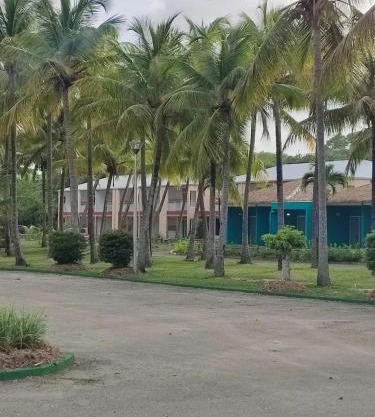 STUDIO TOUMALACAI