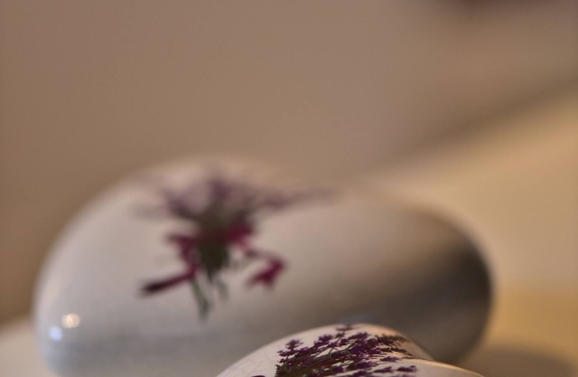 Studio Valentina for 2 persons, quiet location, WiFi, barbecue