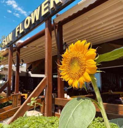 Sun Flower Apart Hotel