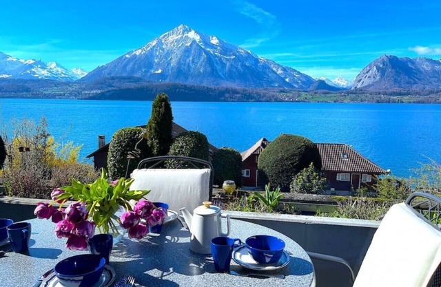 SwissHut Stunning Views Alps & Lake - Apart. Herzog 24
