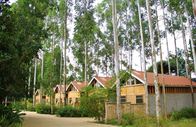 The Great Outdoors Uganda