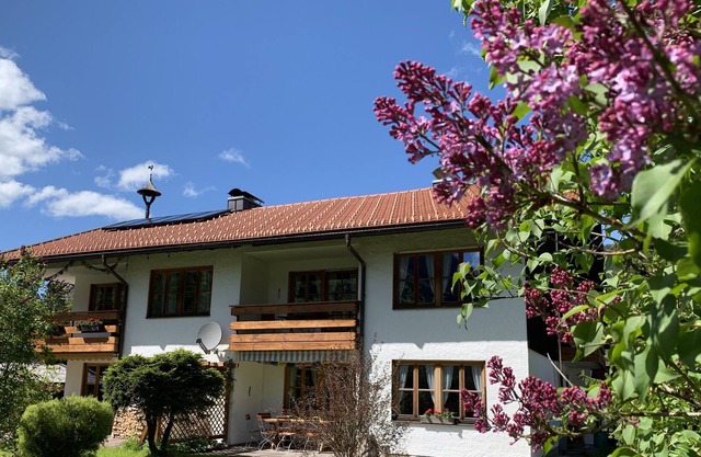 The house for demanding guests