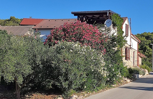 Three bedroom apartment with terrace Rukavac, Vis (A-23763-a)