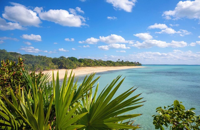 Totally Secluded 40-Acre Beachfront Estate, Privat