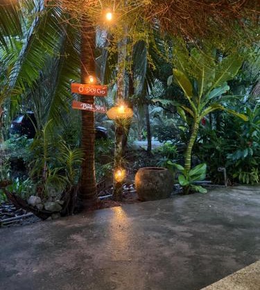 Trịnh's House